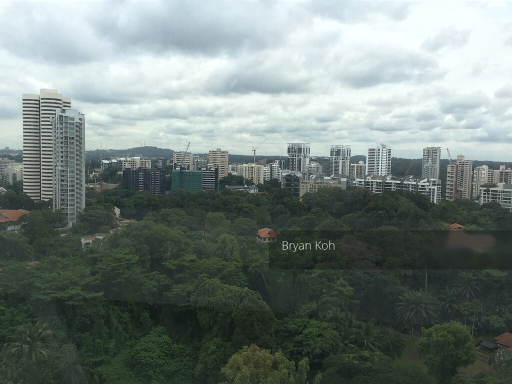 Scotts 28 (D9), Condominium #247622021